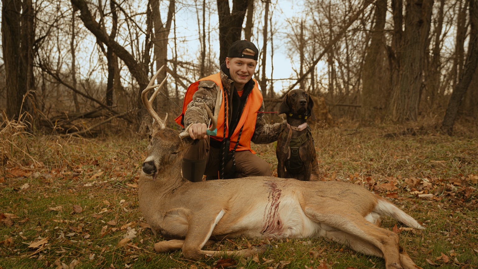 Whitaker Deer Tracking recovery with Mya in the woods
